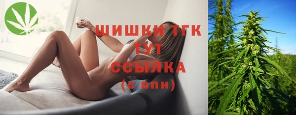 PSILOCYBIN Заволжье