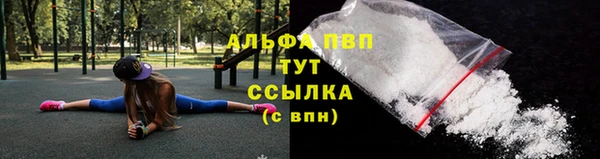 PSILOCYBIN Заводоуковск