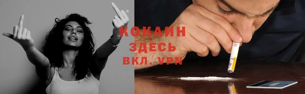 ГАЛЛЮЦИНОГЕННЫЕ ГРИБЫ Заволжск