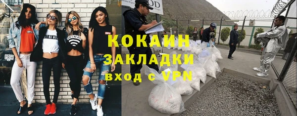 PSILOCYBIN Заводоуковск