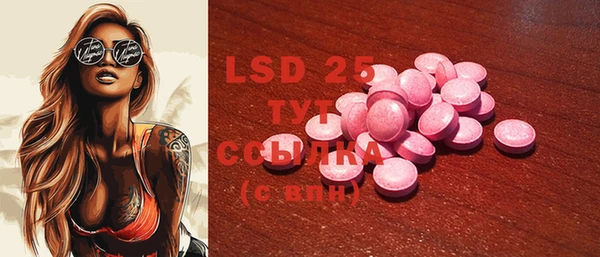 PSILOCYBIN Заволжье