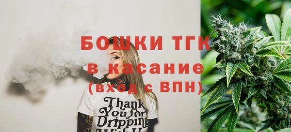 PSILOCYBIN Заводоуковск